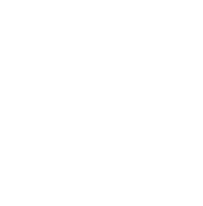 ICorp-Q-Marzob